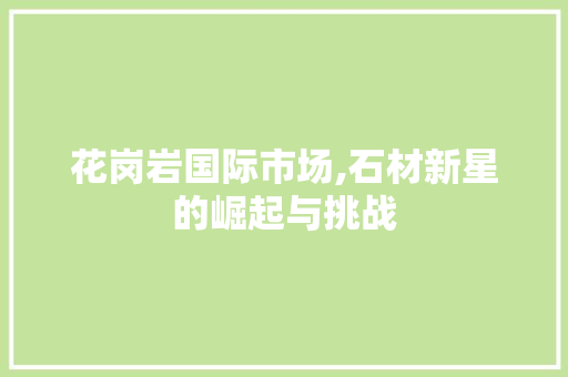 花岗岩国际市场,石材新星的崛起与挑战