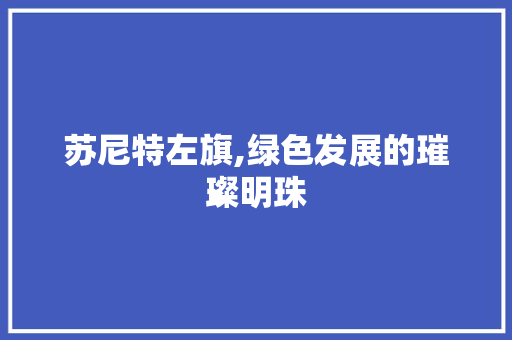 苏尼特左旗,绿色发展的璀璨明珠