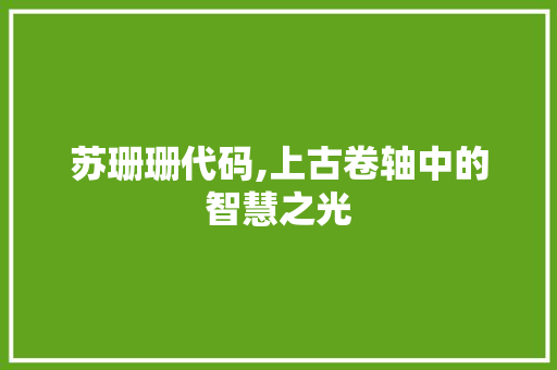 苏珊珊代码,上古卷轴中的智慧之光