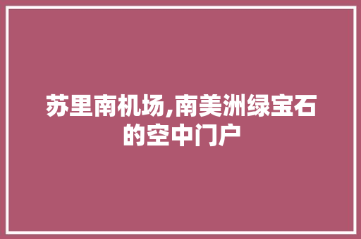 苏里南机场,南美洲绿宝石的空中门户