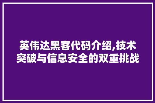 英伟达黑客代码介绍,技术突破与信息安全的双重挑战