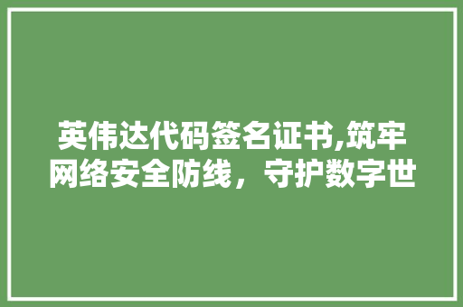 英伟达代码签名证书,筑牢网络安全防线，守护数字世界和谐