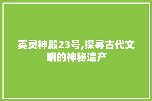 英灵神殿23号,探寻古代文明的神秘遗产