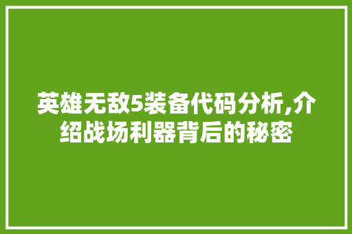 英雄无敌5装备代码分析,介绍战场利器背后的秘密