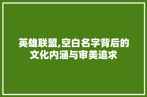 英雄联盟,空白名字背后的文化内涵与审美追求