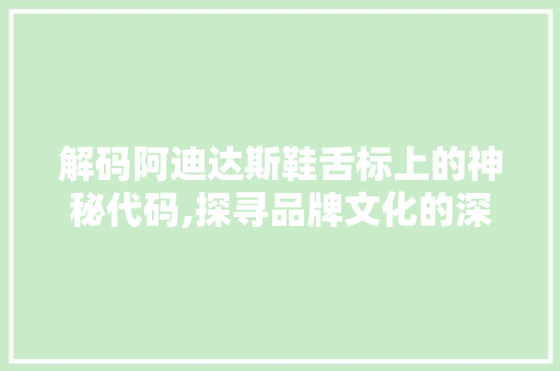 解码阿迪达斯鞋舌标上的神秘代码,探寻品牌文化的深层次内涵 Docker