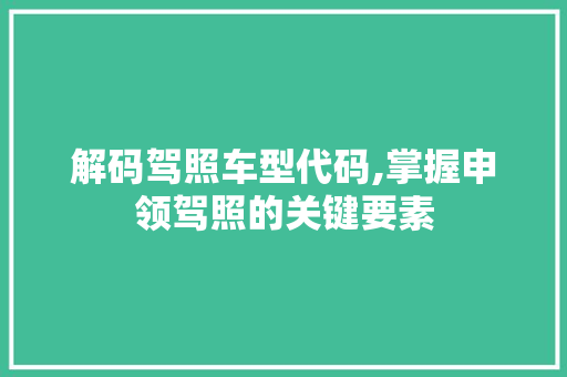 解码驾照车型代码,掌握申领驾照的关键要素