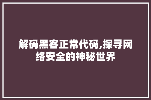 解码黑客正常代码,探寻网络安全的神秘世界 RESTful API