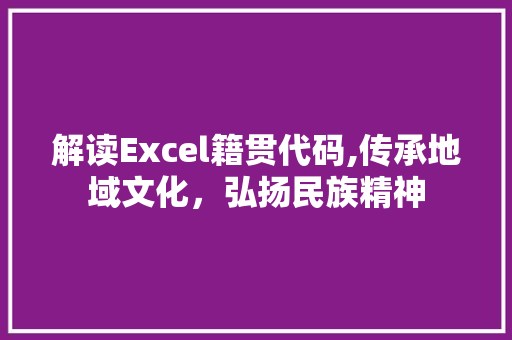 解读Excel籍贯代码,传承地域文化，弘扬民族精神