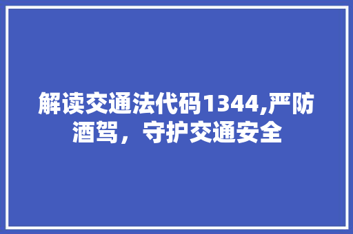 解读交通法代码1344,严防酒驾，守护交通安全