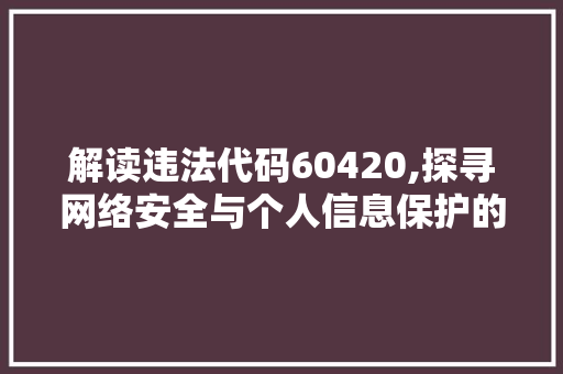 解读违法代码60420,探寻网络安全与个人信息保护的边界