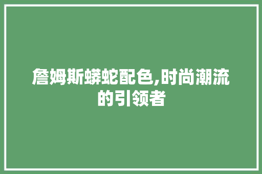 詹姆斯蟒蛇配色,时尚潮流的引领者