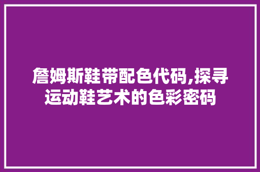 詹姆斯鞋带配色代码,探寻运动鞋艺术的色彩密码