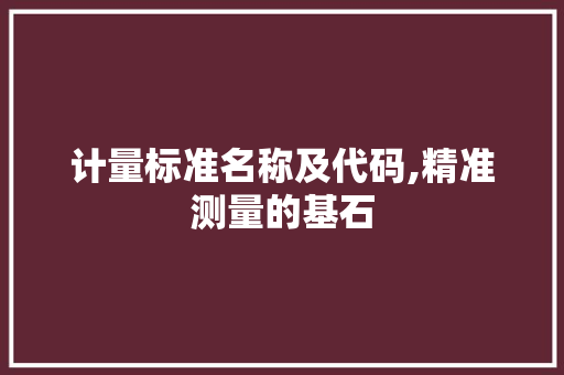 计量标准名称及代码,精准测量的基石