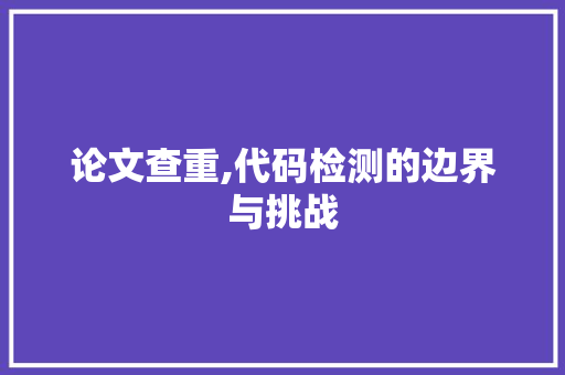 论文查重,代码检测的边界与挑战