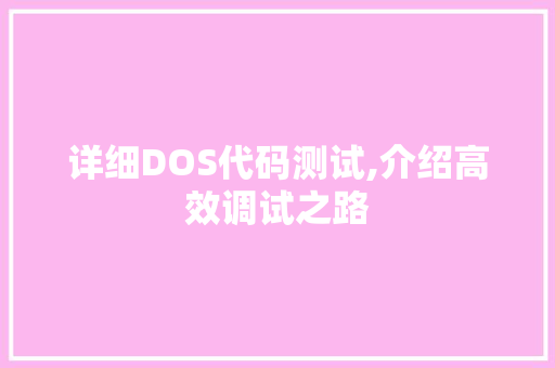 详细DOS代码测试,介绍高效调试之路