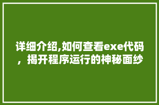 详细介绍,如何查看exe代码，揭开程序运行的神秘面纱