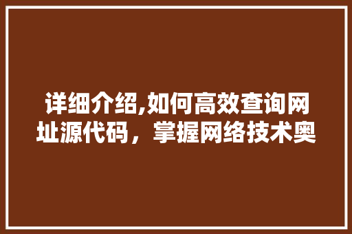 详细介绍,如何高效查询网址源代码，掌握网络技术奥秘