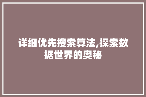 详细优先搜索算法,探索数据世界的奥秘