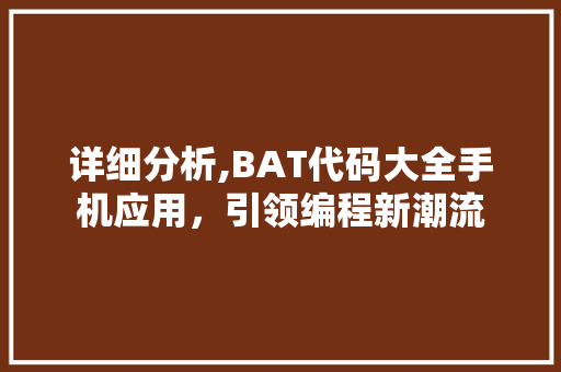 详细分析,BAT代码大全手机应用，引领编程新潮流