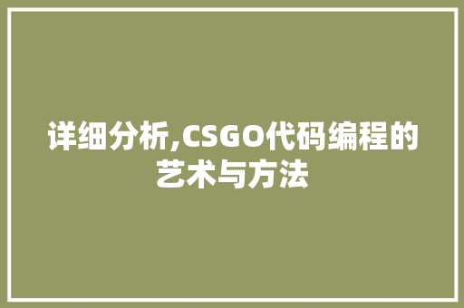 详细分析,CSGO代码编程的艺术与方法