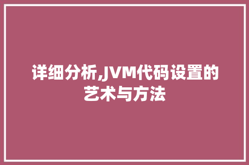 详细分析,JVM代码设置的艺术与方法