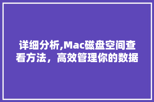 详细分析,Mac磁盘空间查看方法，高效管理你的数据宝藏