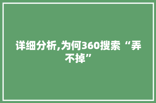 详细分析,为何360搜索“弄不掉”