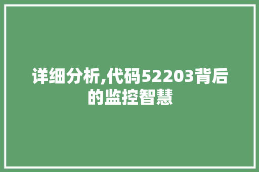 详细分析,代码52203背后的监控智慧