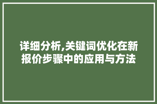 详细分析,关键词优化在新报价步骤中的应用与方法