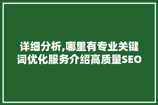 详细分析,哪里有专业关键词优化服务介绍高质量SEO解决方法