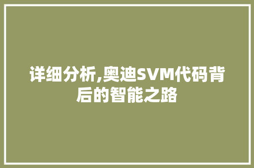 详细分析,奥迪SVM代码背后的智能之路