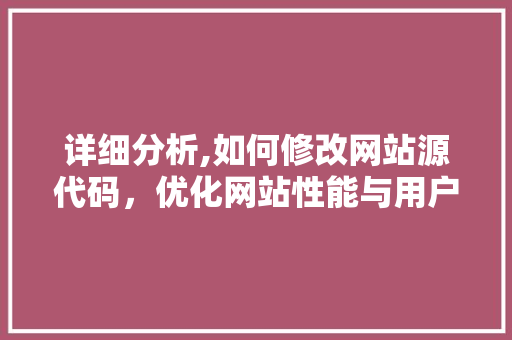 详细分析,如何修改网站源代码，优化网站性能与用户体验