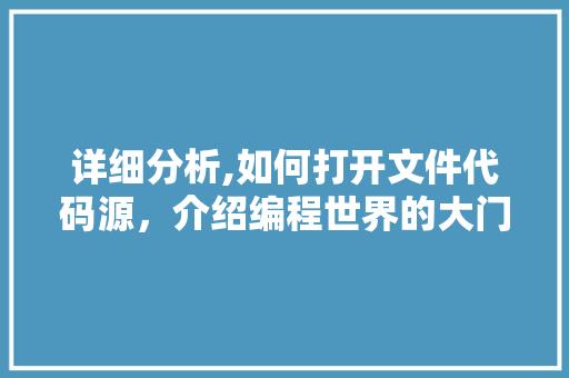 详细分析,如何打开文件代码源，介绍编程世界的大门