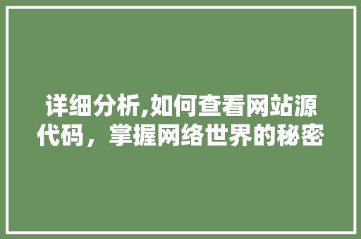 详细分析,如何查看网站源代码，掌握网络世界的秘密之门