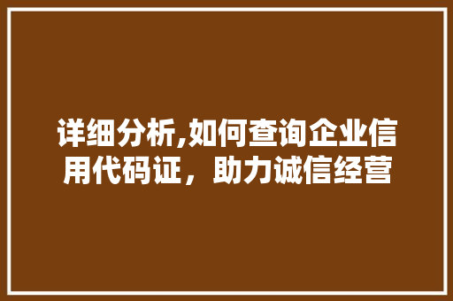 详细分析,如何查询企业信用代码证，助力诚信经营