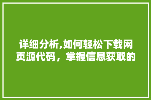 详细分析,如何轻松下载网页源代码，掌握信息获取的主动权