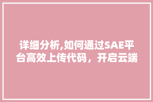 详细分析,如何通过SAE平台高效上传代码，开启云端编程新纪元