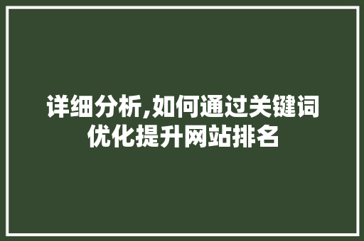 详细分析,如何通过关键词优化提升网站排名