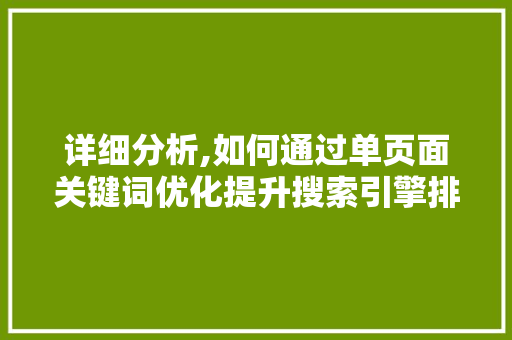 详细分析,如何通过单页面关键词优化提升搜索引擎排名