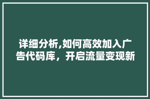 详细分析,如何高效加入广告代码库，开启流量变现新篇章