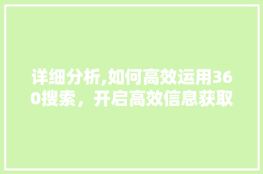 详细分析,如何高效运用360搜索，开启高效信息获取之旅