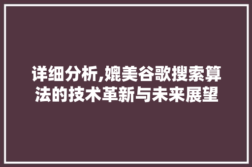 详细分析,媲美谷歌搜索算法的技术革新与未来展望