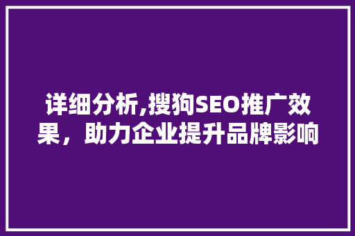 详细分析,搜狗SEO推广效果，助力企业提升品牌影响力