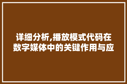 详细分析,播放模式代码在数字媒体中的关键作用与应用