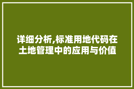 详细分析,标准用地代码在土地管理中的应用与价值