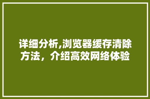 详细分析,浏览器缓存清除方法，介绍高效网络体验