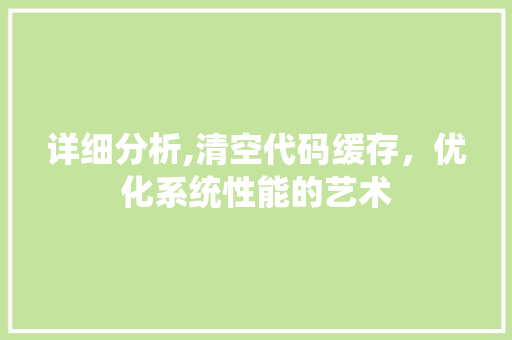 详细分析,清空代码缓存，优化系统性能的艺术