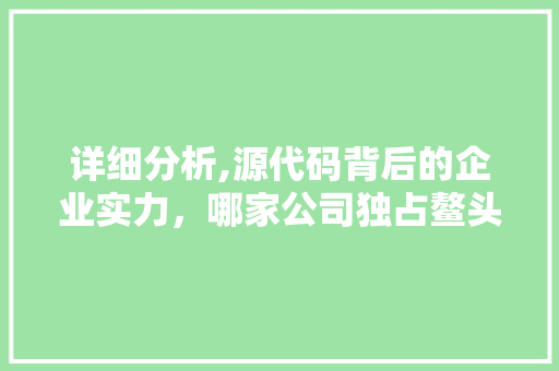 详细分析,源代码背后的企业实力，哪家公司独占鳌头