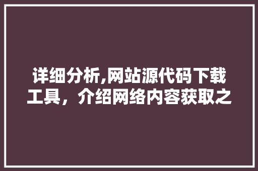 详细分析,网站源代码下载工具，介绍网络内容获取之路